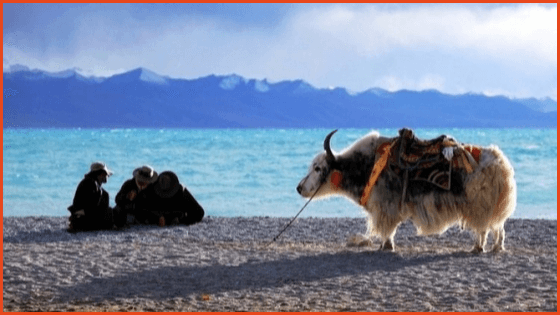 Travel Namtso Lake in Tibet