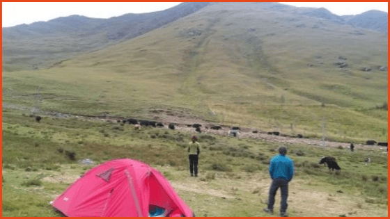 Camping during traveling in Tibet and trekking
