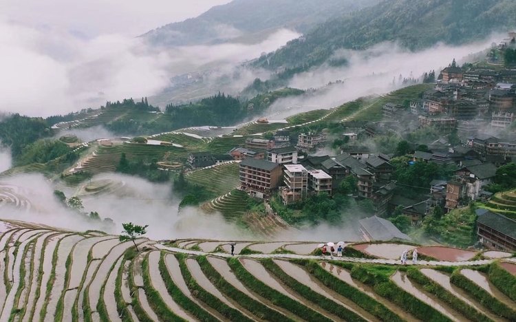 Longsheng Rice terraces in a raining day