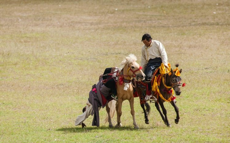 Nagchu horse race