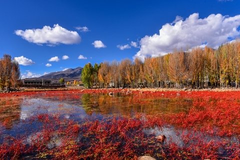 Autumn landscapes around Daocheng