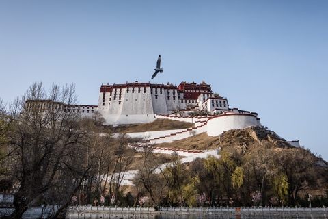 Lhasa potala palace and bird