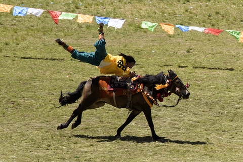 Horse racing Yushu