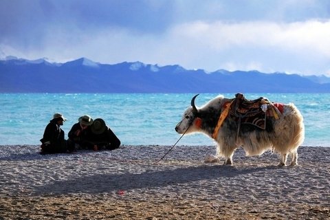 Tibet Namtso Lake Sightseeing