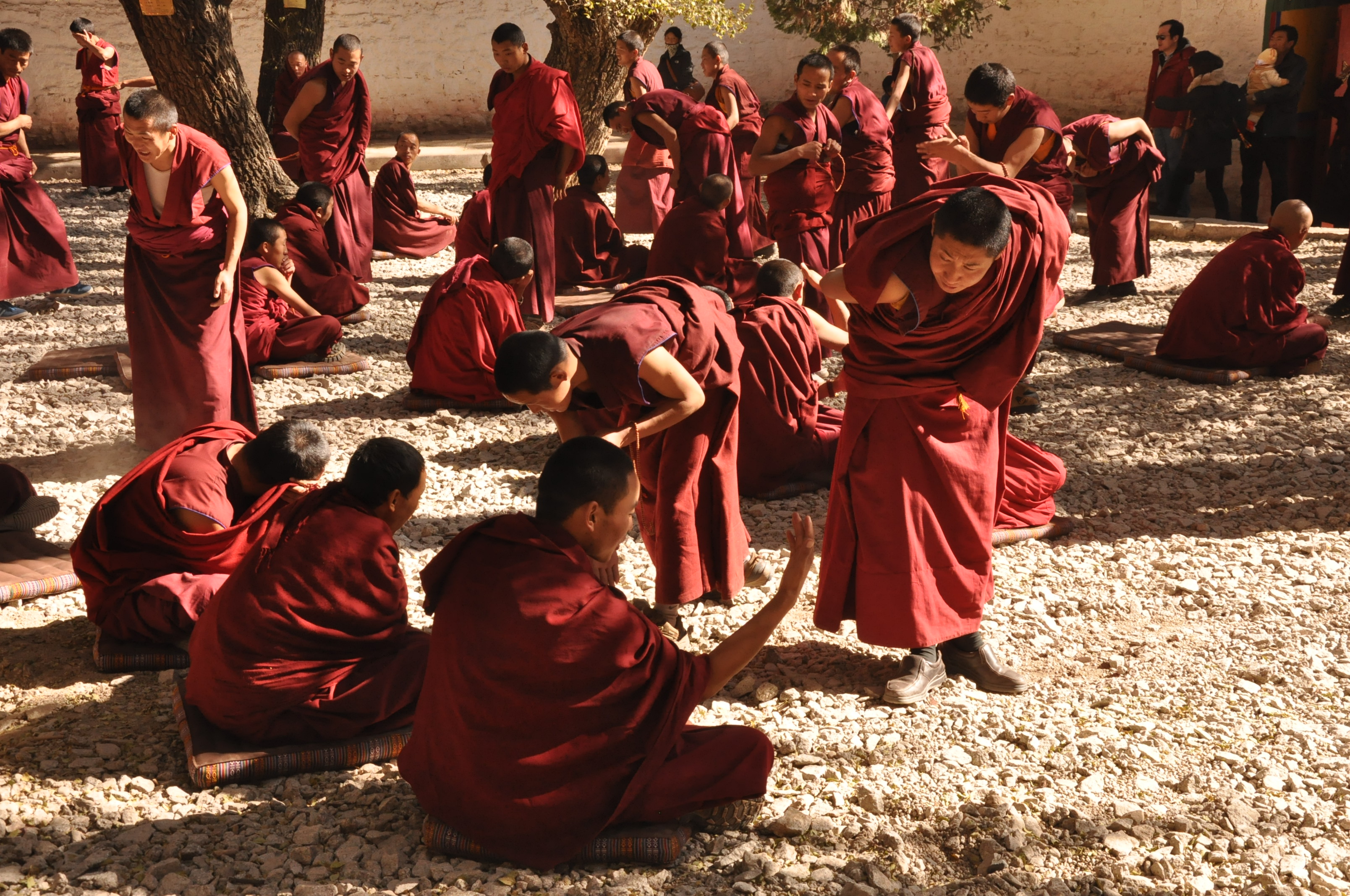 Sera monastery monks debate