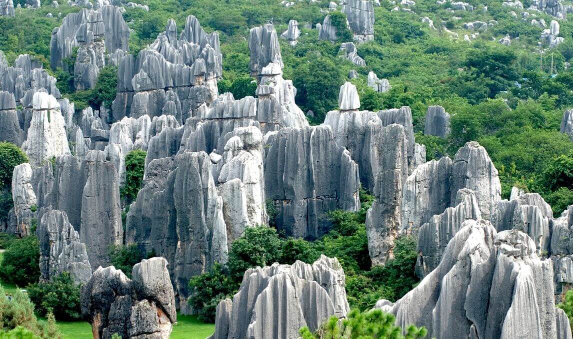 Visiting Stone forest in China
