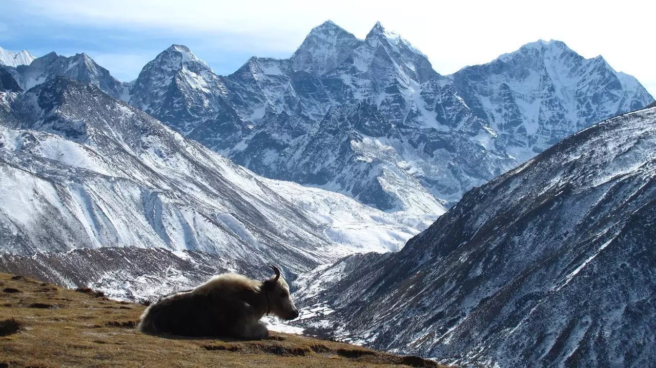 Tibetan mountain view