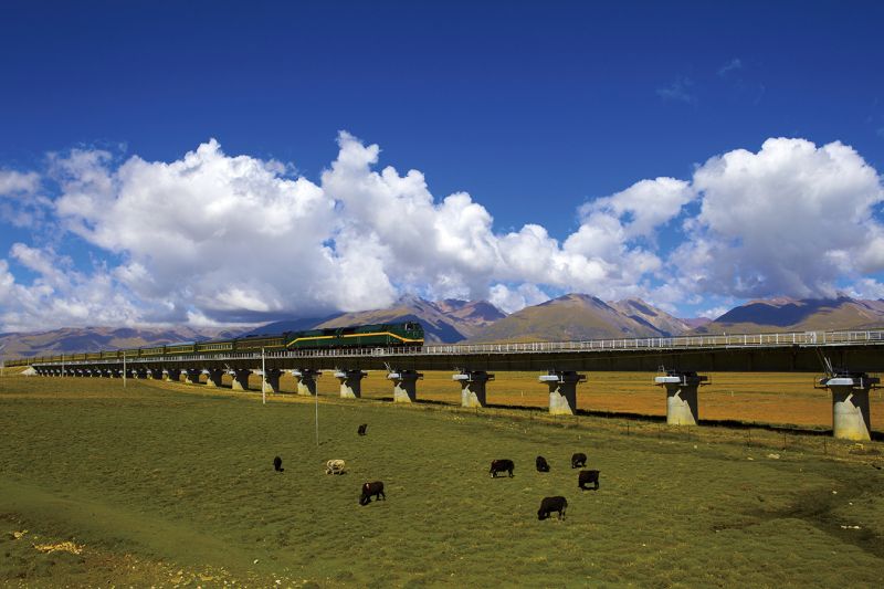 Scenery along Qinghai Tibet Railway