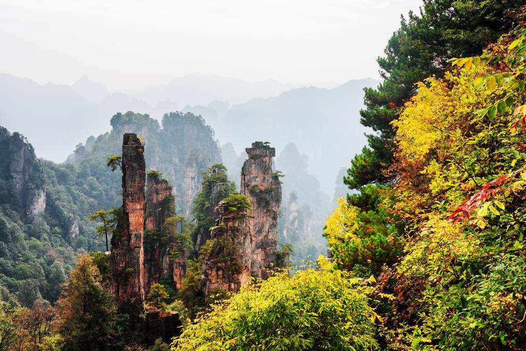 Autumn colorful Zhangjiajie mountain peaks