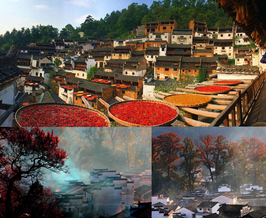 Wuyuan villages autumn views and harvest