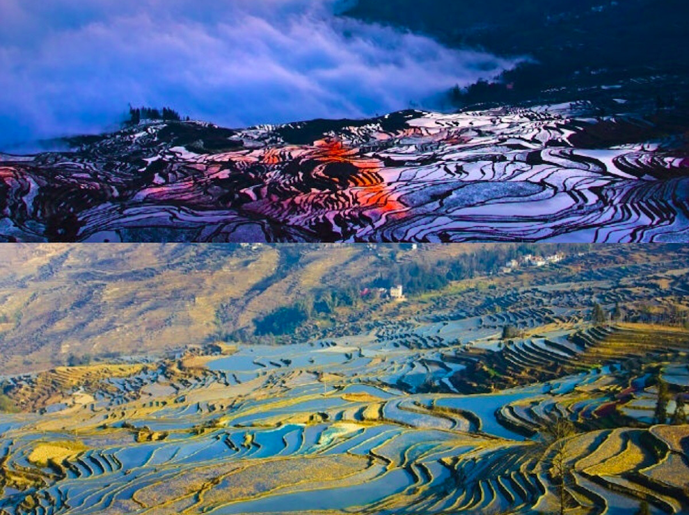 Colored rice terraces at Yuanyang