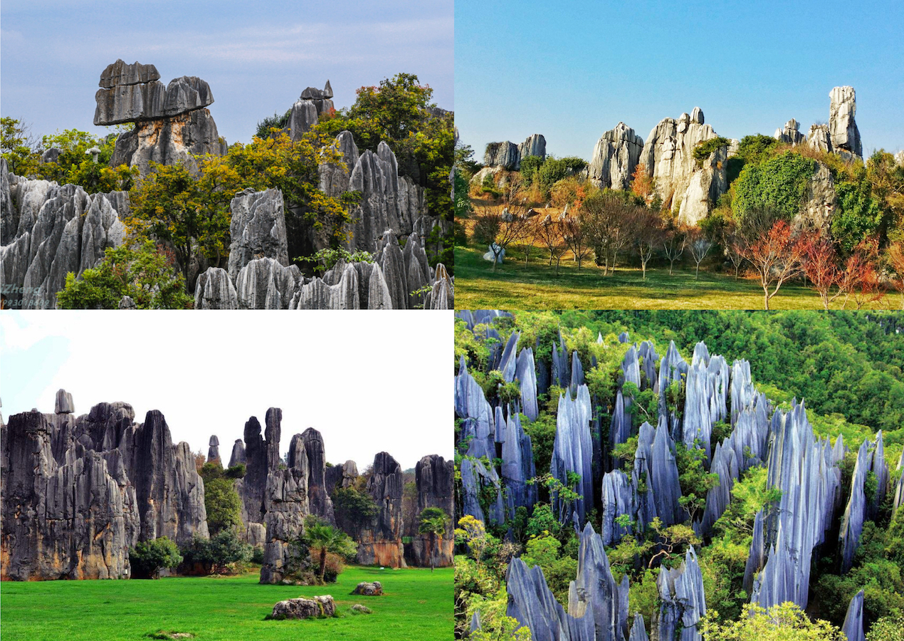 Stone Forest National Park