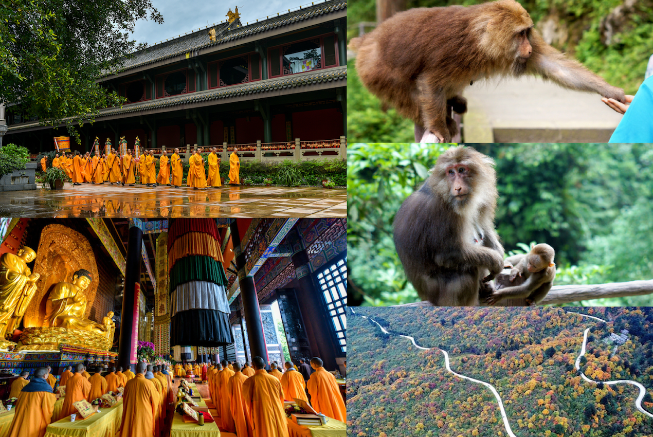 Mount Emei Buddhism and monkeys