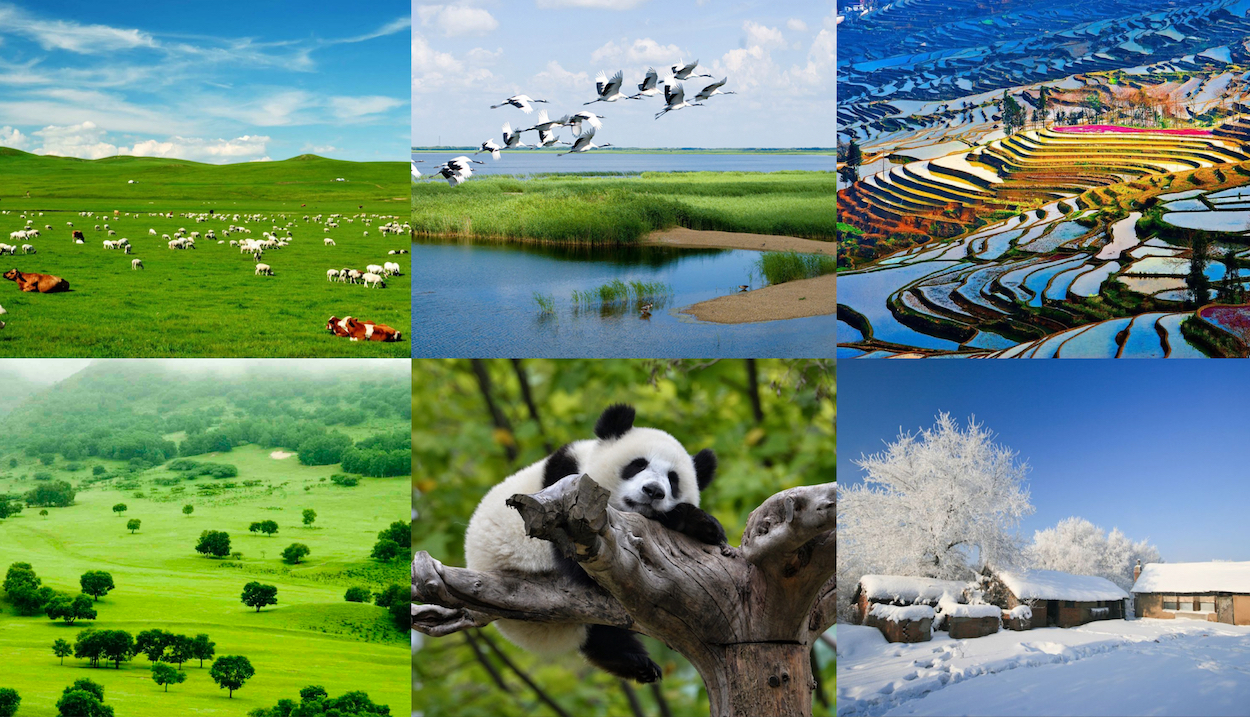 Ecological and climate landscape in China
