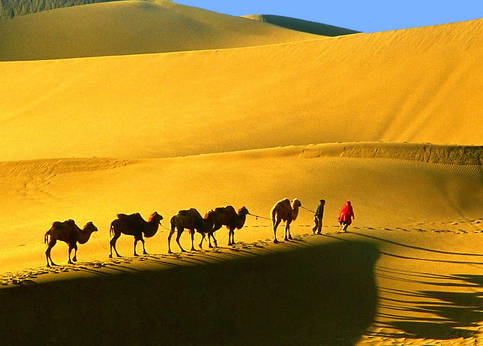 China Silk Road Trip Camel Riding