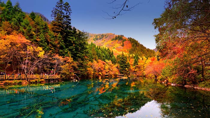 Autumn Jiuzhaigou Detailed Travel Tips
