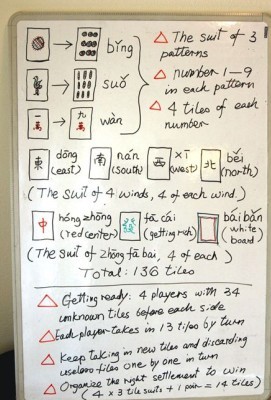 Domino, Rules, Variations & History