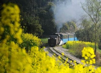 qianwei train