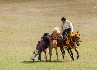 Nagchu horse race