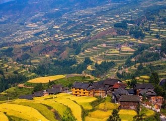 Rice terrace at Tang'an Dong village
