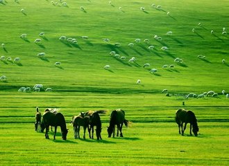 hulunbuir-grassland-inner-mongolia