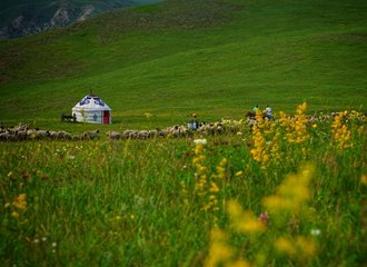 inner-mongolia-grassland-tour