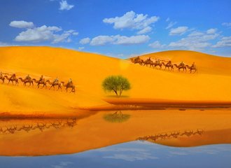 kubuqi-desert-inner-mongolia
