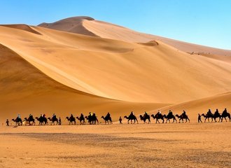 Camel Riding in Dunhuang Along the Silk Road
