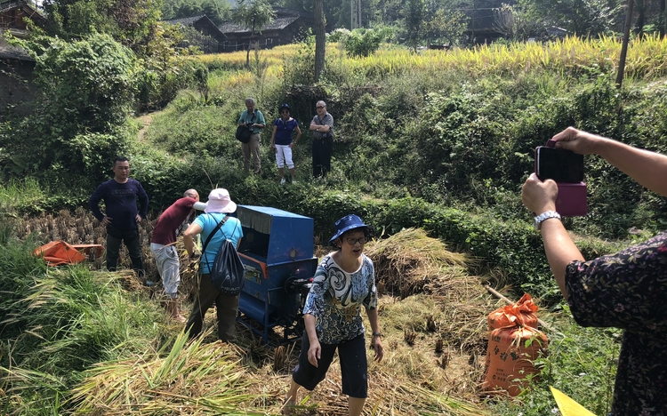 Farming at Guizhou ethnic villages