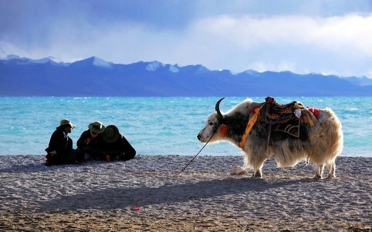 Tibet Namtso Lake Sightseeing