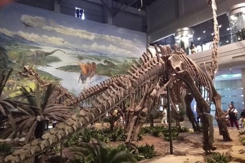 Dinosaur fossil Zigong museum