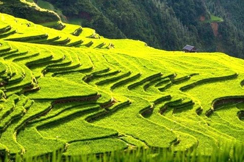 Congjiang Jiabang rice terraces Guizhou