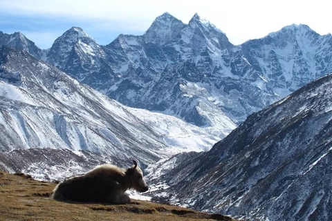 Tibetan mountain view