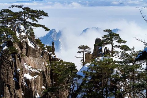 pine-tree-covered-snow-mount-huangshan