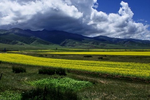 The Landscape of Haibei