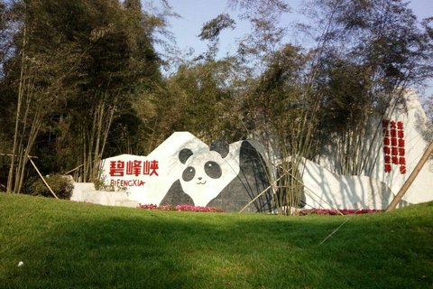 Bifengxia panda center