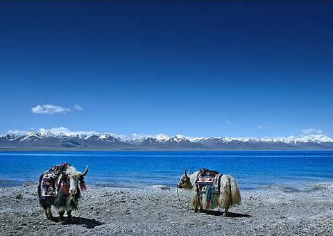 Namtso lake in Tibet