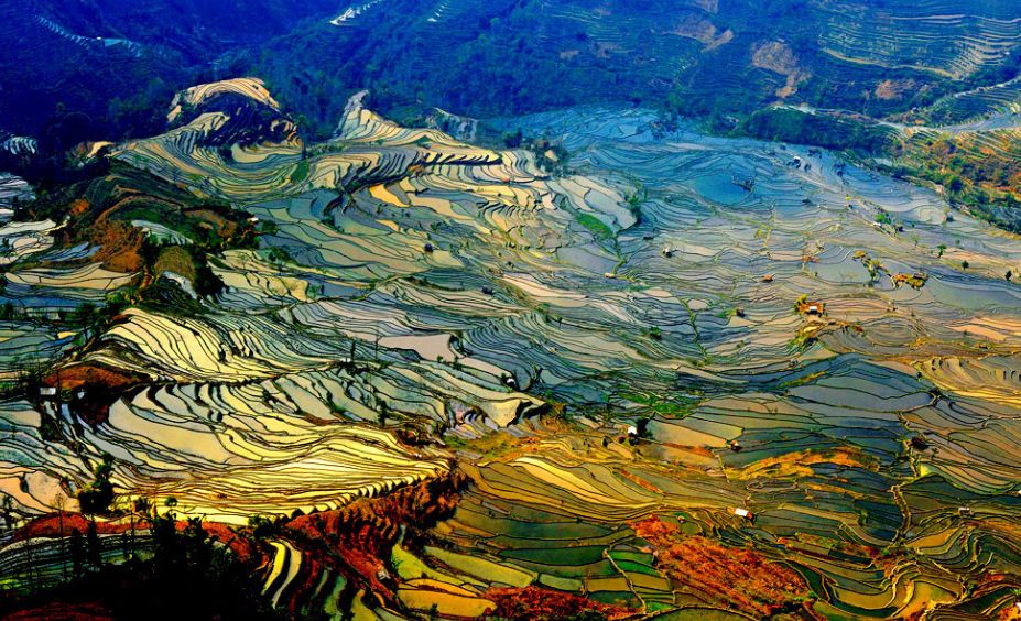 Yuanyang Rice Terrace in Yunnan