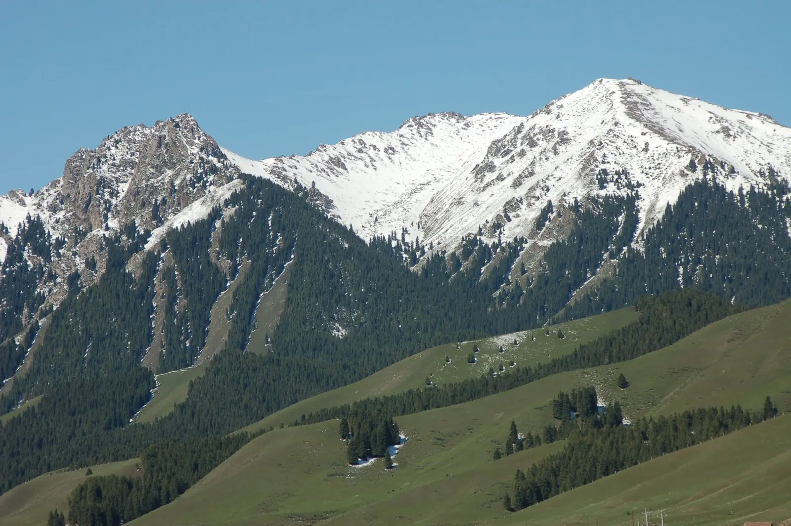 Urumqi southern mountain pasture