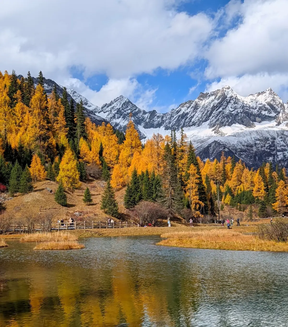 Golden autumn scenery at Shuangqiao Valley, Mount Siguniang