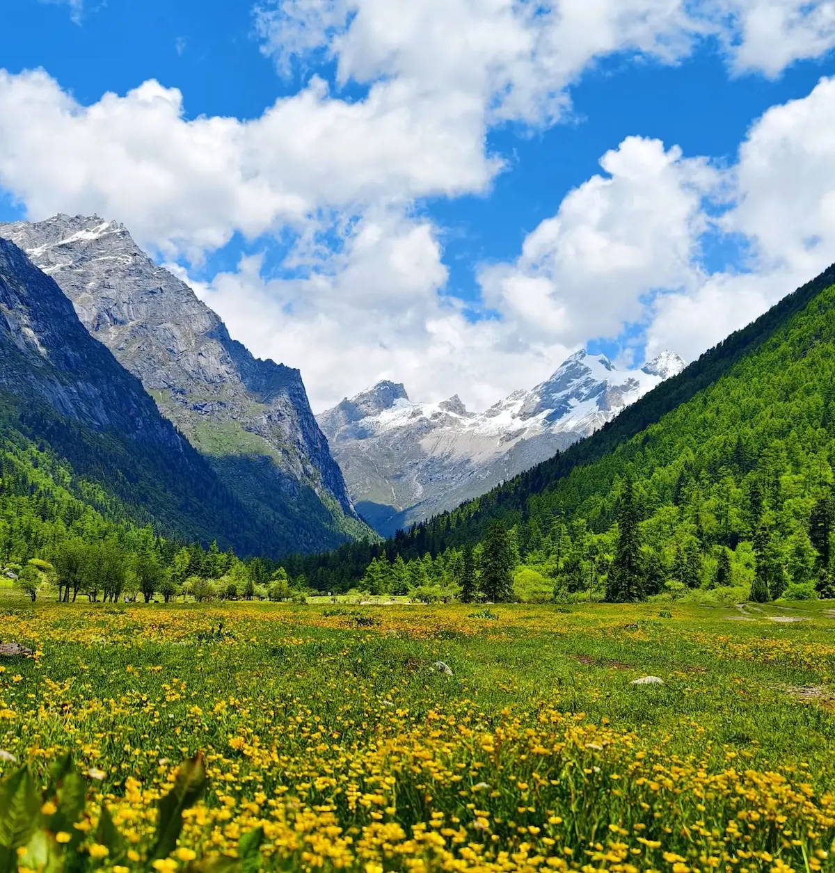 Summer view of Changping Valley, Mount Siguniang National Park