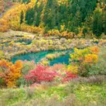 Autumn Scenery of Shuzheng Lakes, Jiuzhaigou National Park, Sichuan, China