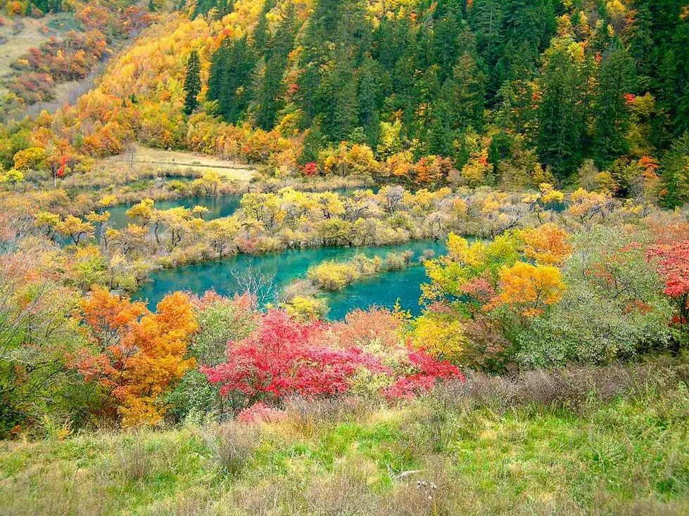 Autumn Scenery of Shuzheng Lakes, Jiuzhaigou National Park, Sichuan, China