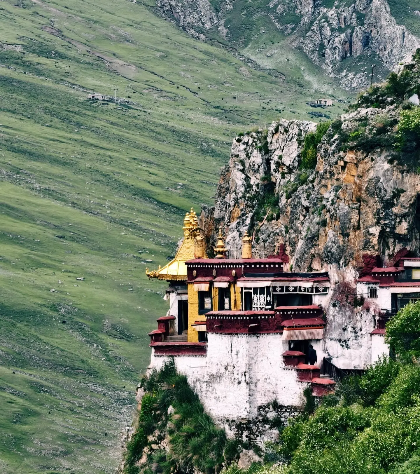 Drak Yerpa in Summer – Green Hills and Meditation Caves near Lhasa