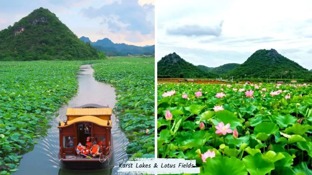 Karst Lakes & Lotus Fields