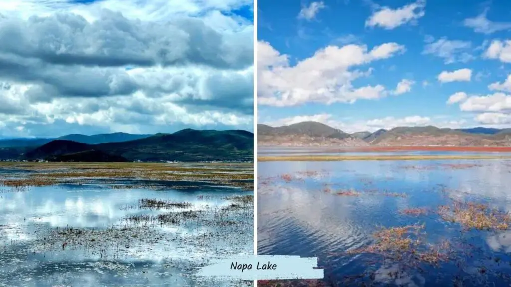 Napa Lake