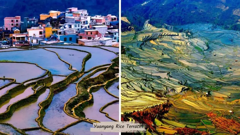 Yuanyang Rice Terraces