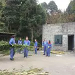 dujiangyan panda volunteering work includes carrying bamboo and preparing food