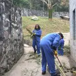Chengdu Panda Tour – Volunteering at Dujiangyan (Wolong) Panda Base