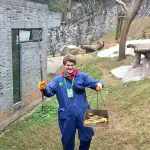 Chengdu Panda Tour – Volunteering at Dujiangyan (Wolong) Panda Base
